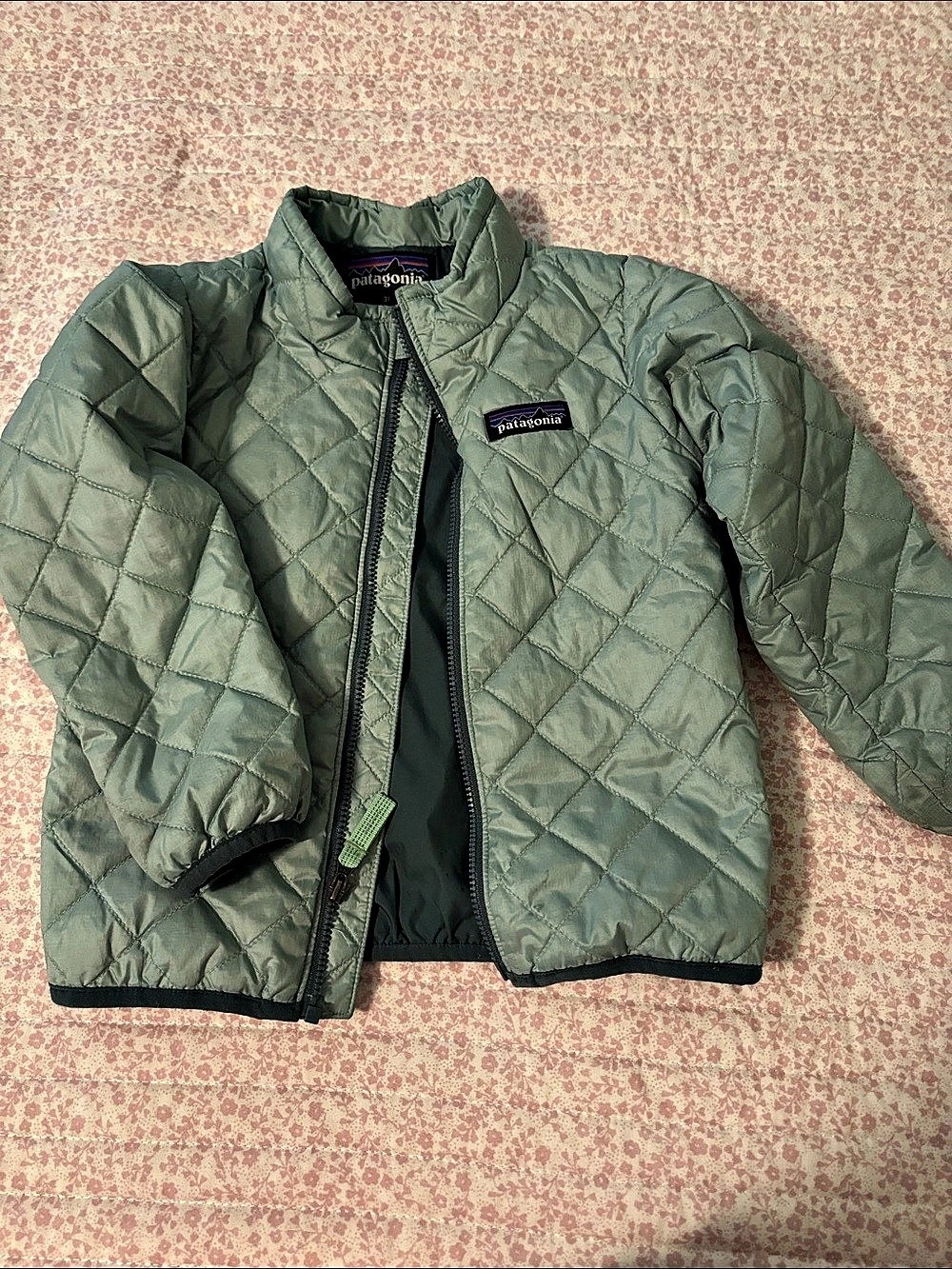 Patagonia Nano Puff Quilted Jacket in Green